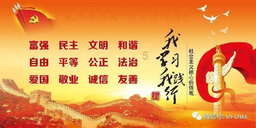 寻找沙漠珍宝